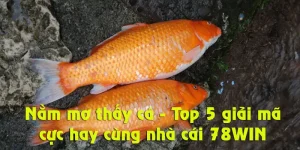 Nằm mơ thấy cá