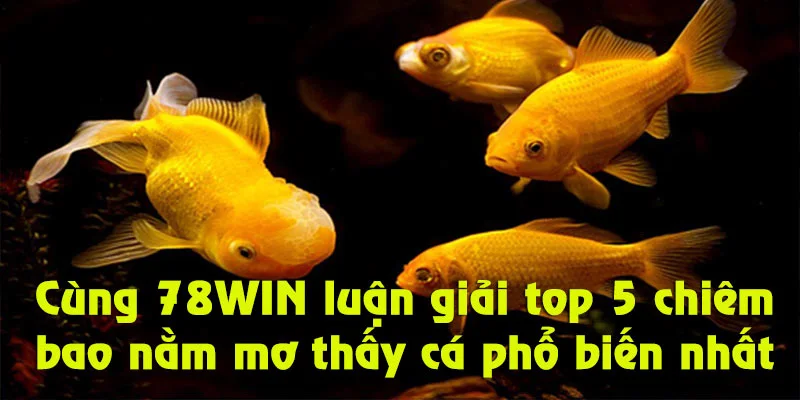 Tham khảo những luận giải nằm mơ thấy cá hay nhất tại 78WIN