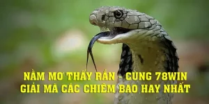 Nằm mơ thấy rắn